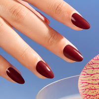 Cherry Burgundy Almond Nails Nail O Lash
