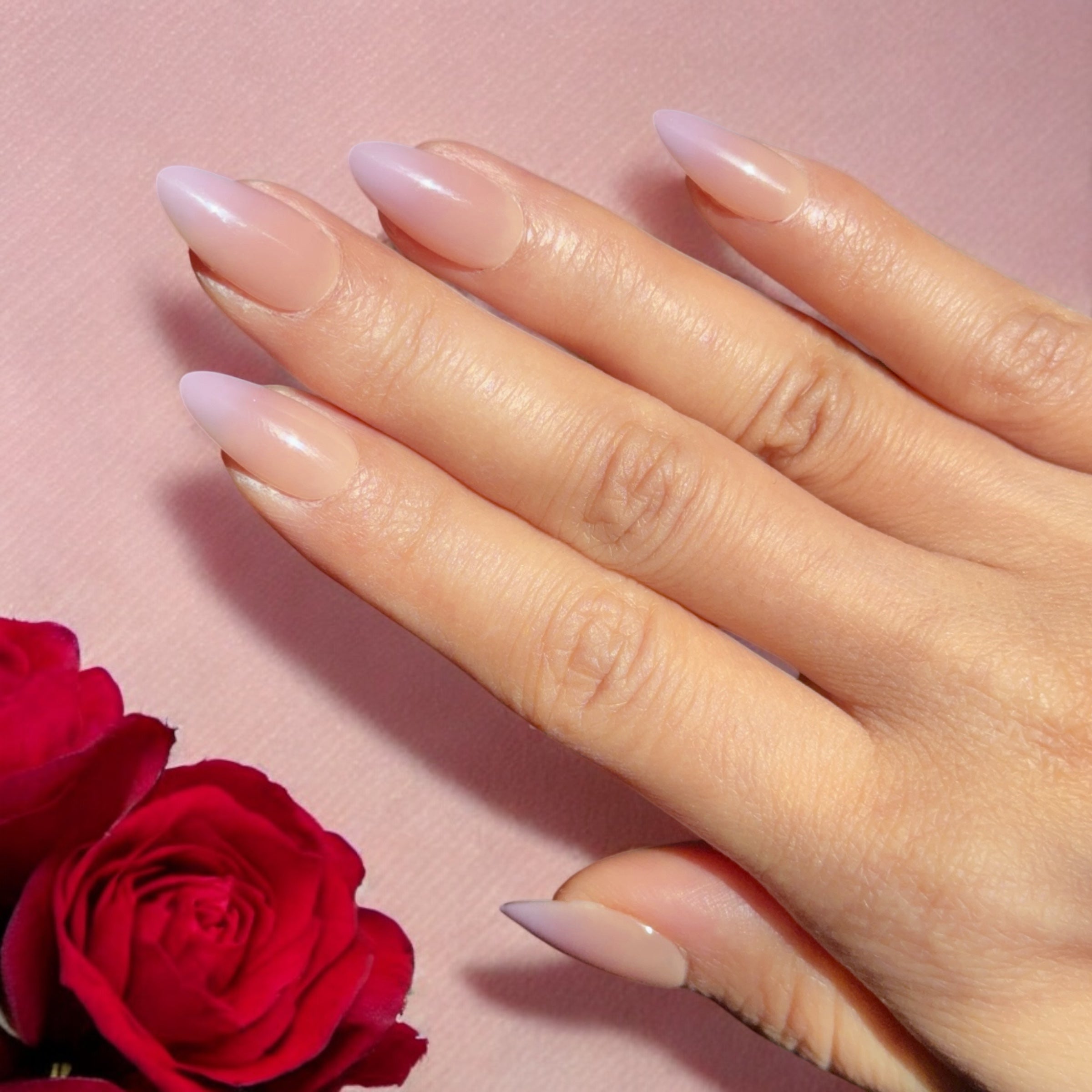 Moonlit Mauve