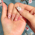 Seasons Love